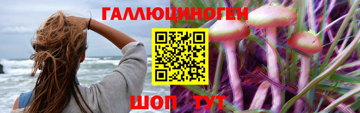 Псилоцибиновые грибы прущие грибы  Вход с VPN  Сарапул 