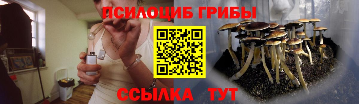 Псилоцибиновые грибы ЛСД Сарапул